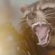 Image for article titled Everything You Need to Know About That Guardians of the Galaxy Trailer